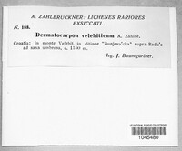 Image Associated With the Occurrence